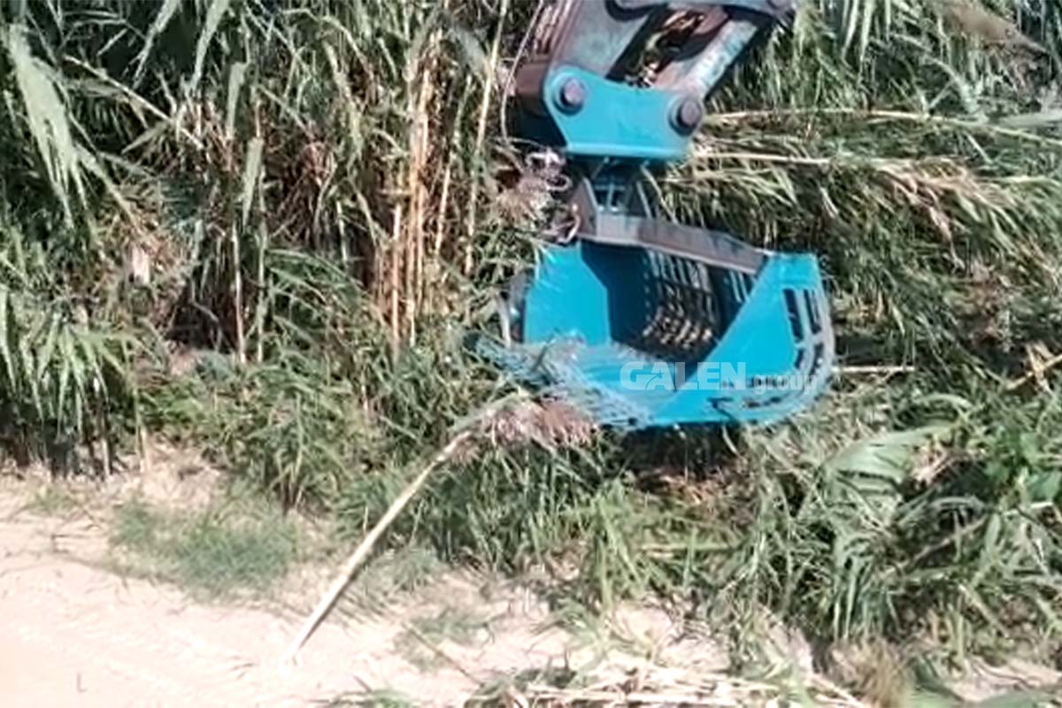 sazlık biçme kovası